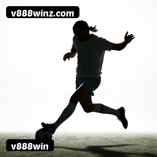 Níveis do programa VIP da v888win